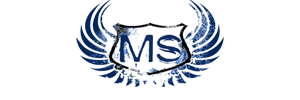 MS Productions